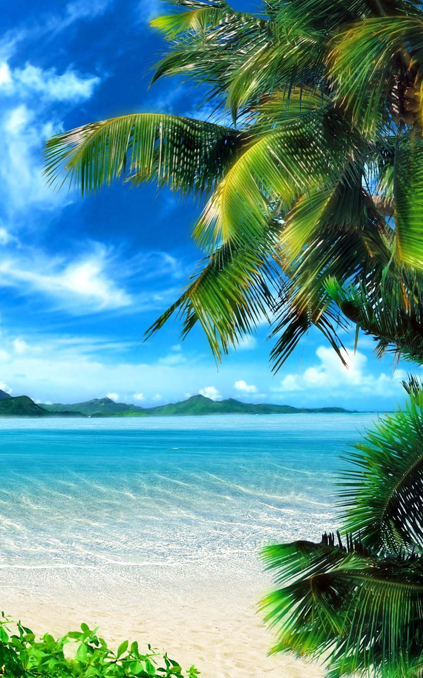 Android için Tropical Beach Live, android için tropikal HD telefon duvar kağıdı