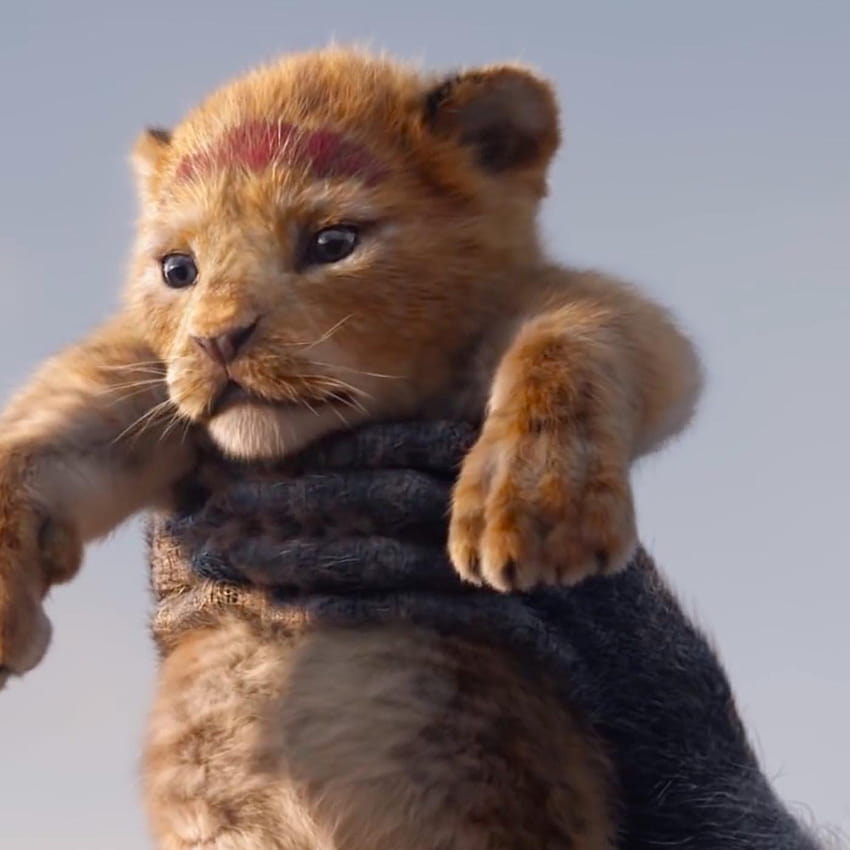 First Lion King remake trailer replicates Circle of Life opening, disney lion king 2019 HD phone wallpaper