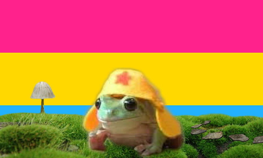 Pin auf Cute pansexual frog HD-Hintergrundbild