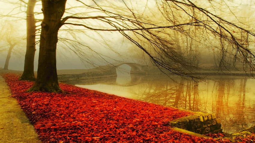 Taman Tepi Sungai Musim Gugur yang indah, bangku tepi sungai Wallpaper HD