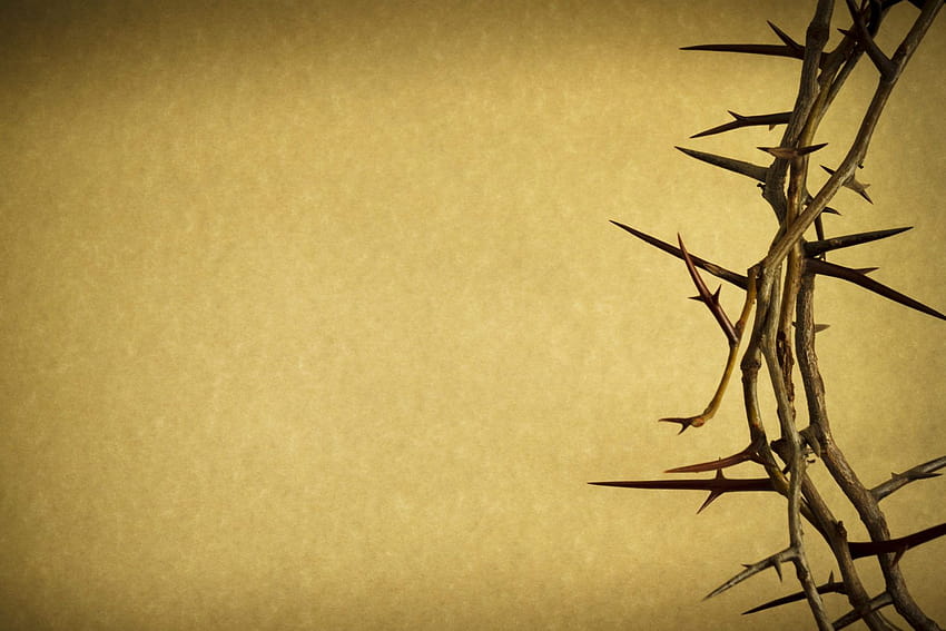 Best 6 Crown of Thorns Backgrounds on Hip, jesus crown of thorns HD wallpaper