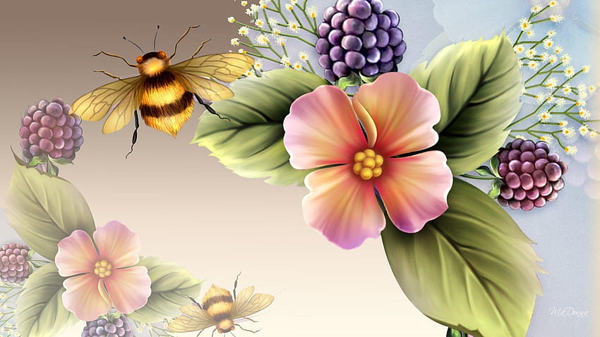 ดอกไม้: ดาว บัมเบิลวิเศษ ดอกไม้ประกาย ผึ้ง ดอกไม้ฤดูใบไม้ผลิ วอลล์เปเปอร์ HD