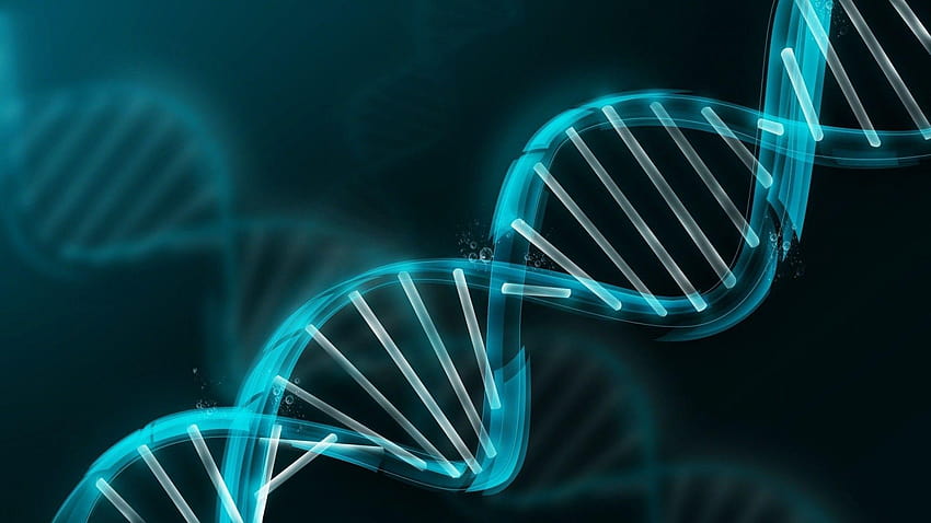 ADN, cromossoma papel de parede HD