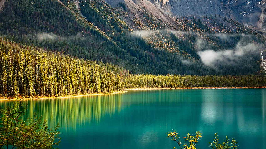 Emerald Lake – Bing, emerald lake yoho national park HD wallpaper