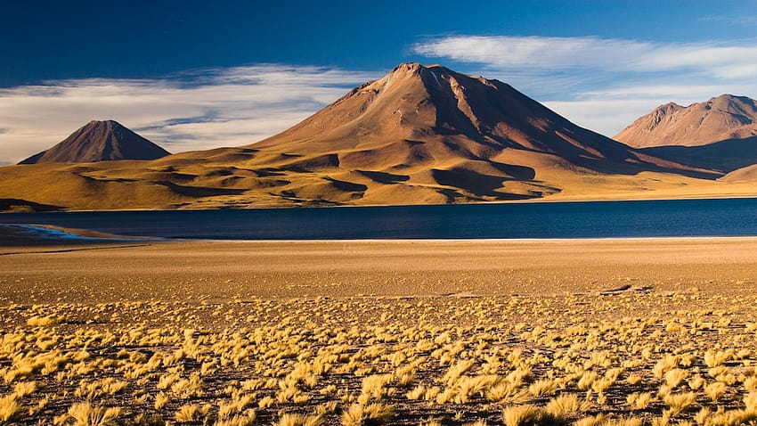 アンデス アタカマ砂漠 チリ ステップ ベージュ、 高画質の壁紙
