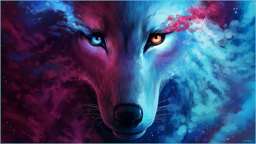 Wolf Wallpaper Photos Download The BEST Free Wolf Wallpaper Stock Photos   HD Images
