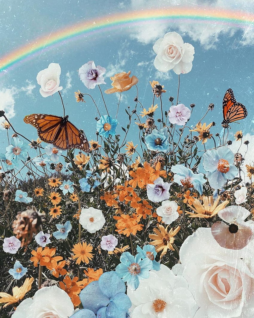 The 9 Best Floral Feeds Of Instagram, flowers and butterfly aesthetic HD phone wallpaper