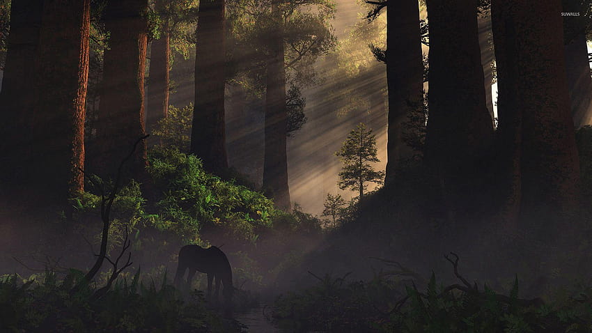 Horse in the forest HD wallpaper | Pxfuel