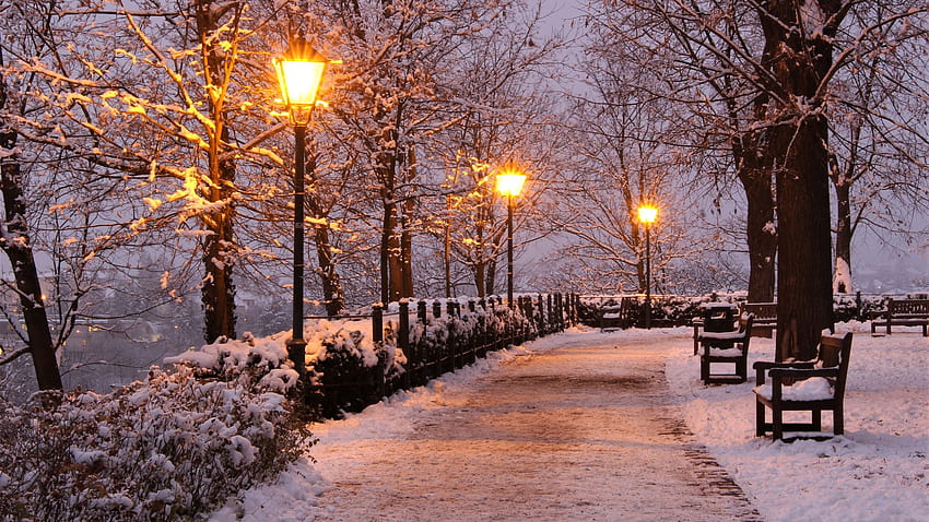 Czech Republic, park, trees, snow, lamps, bench, winter, night 3840x2160 U HD wallpaper