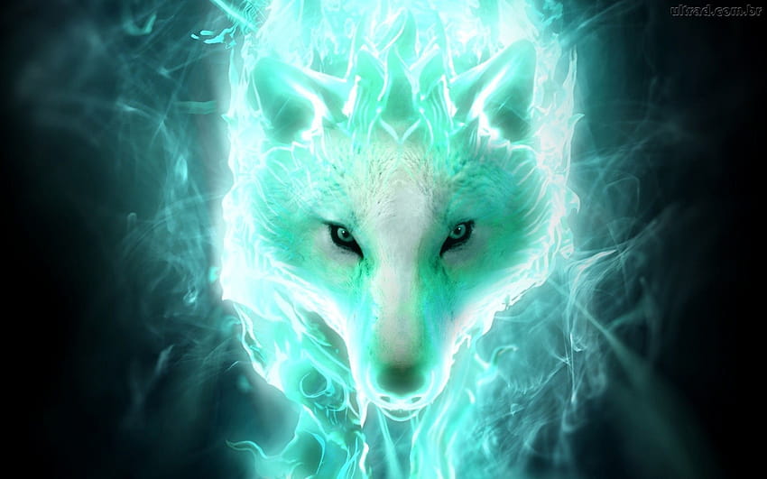 Purple Blue Fire Wolf, anime fire wolf HD wallpaper