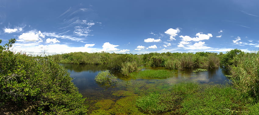 Everglades National Park panoramic landscape HD wallpaper