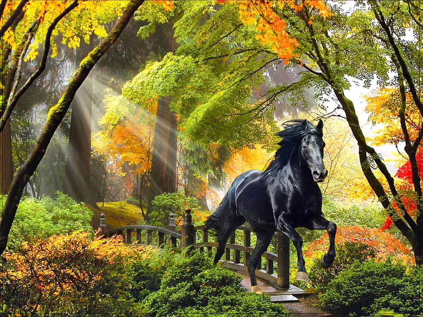 есен, лъчи, кон, красиви, дървета, изкуство, омагьосан, мост, магически, цветове, гора, бягане, блясък, есен, рисуване / и мобилни фонове, есенна горска HD тапет