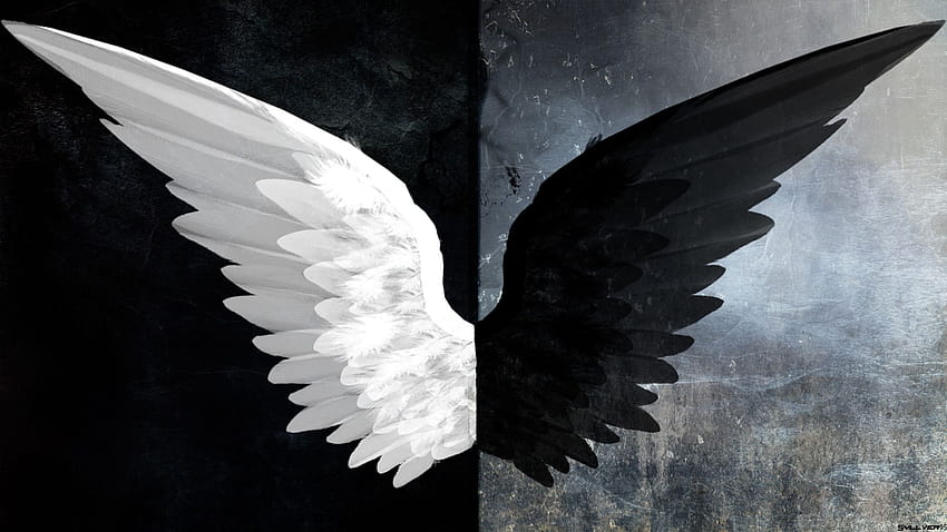 Angel Wings, angel white HD wallpaper | Pxfuel