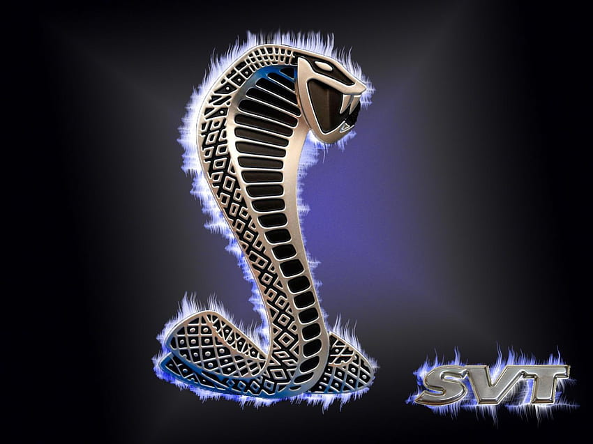 Mustang Cobra Logo, cobras HD wallpaper