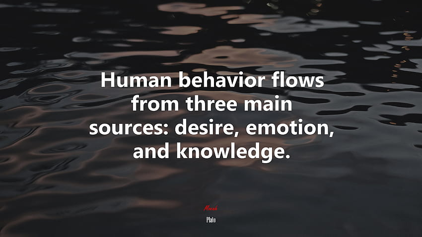 626620 El comportamiento humano fluye de tres fuentes principales: el deseo, la emoción y el conocimiento. fondo de pantalla