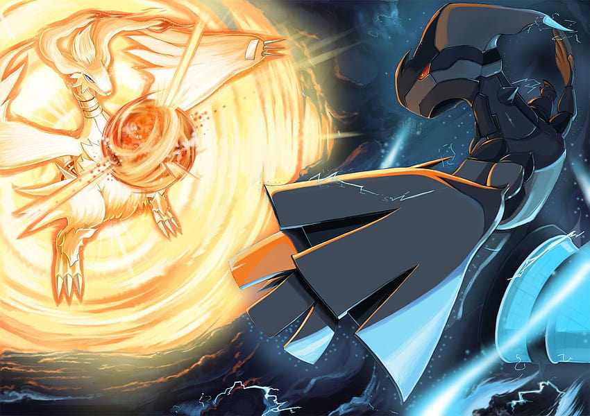 Reshiram X Zekrom fusion (Reshirom) : r/Pokemonart