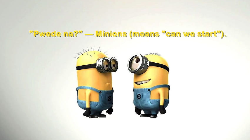 Funny minion quote HD wallpapers | Pxfuel