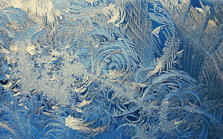 Frost, patterns, unattributed in 2019, frozen ice flowers window glass HD wallpaper