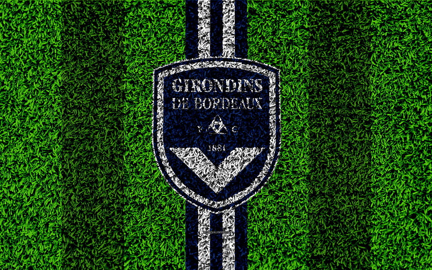 FC Girondins de Bordeaux, futbol sahası HD duvar kağıdı