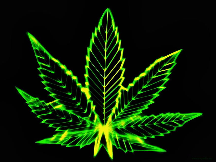 Marijuana posted by Ryan Thompson, weed computer HD wallpaper | Pxfuel