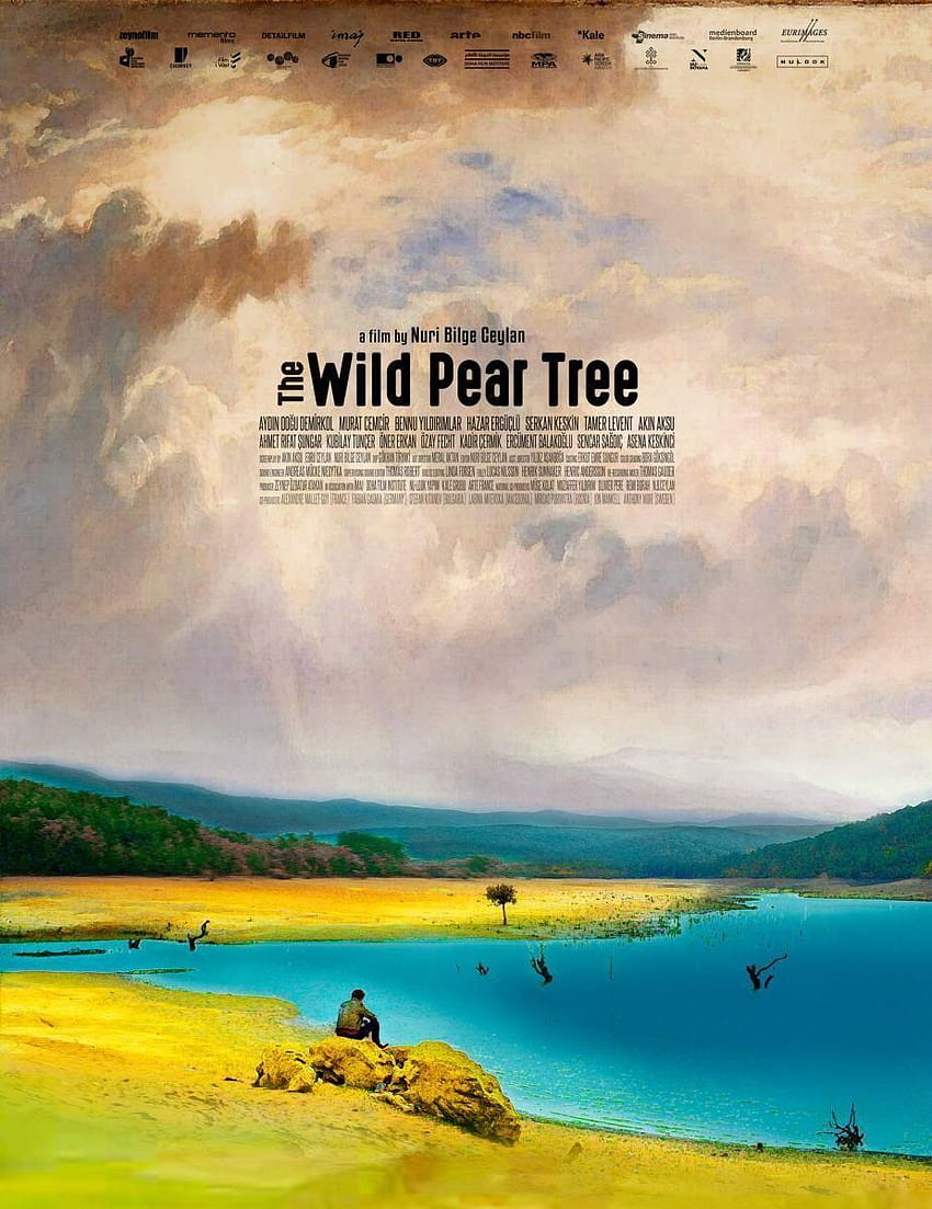 The Wild Pear Tree Film Stills, Official Movie Posters HD phone wallpaper