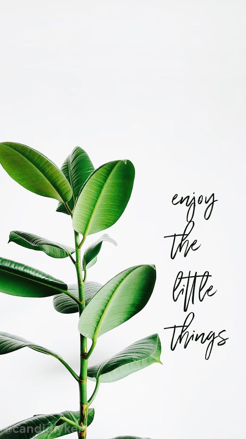 Enjoy the little things Be kind Quotes., green quotes HD phone wallpaper