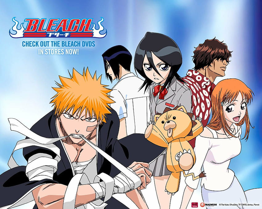 Bleach Filler List Episodes to Skip or Watch  GUIDE 2023  Anime Filler  Guide
