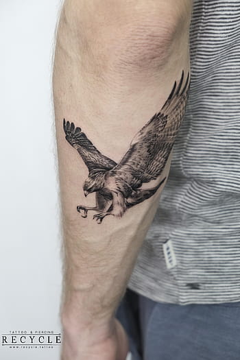 Harris Hawk bird glove tattoo by Ray Tutty | tattoo studio | Flickr