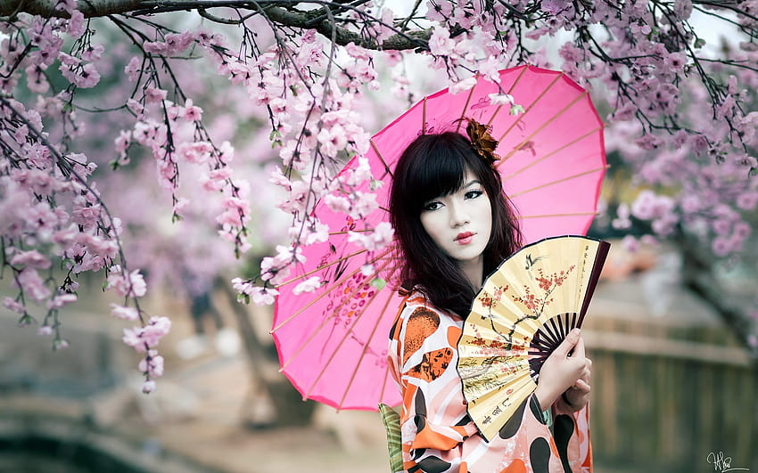 : Japan, women, Asian, umbrella, cherry blossom, pink, spring, Person, fans, parasol, geisha, flower, plant, beauty, woman, costume, floristry, profession 1920x1200, japanese women umbrella HD wallpaper