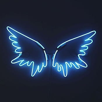 Butterfly wing neon HD wallpapers | Pxfuel