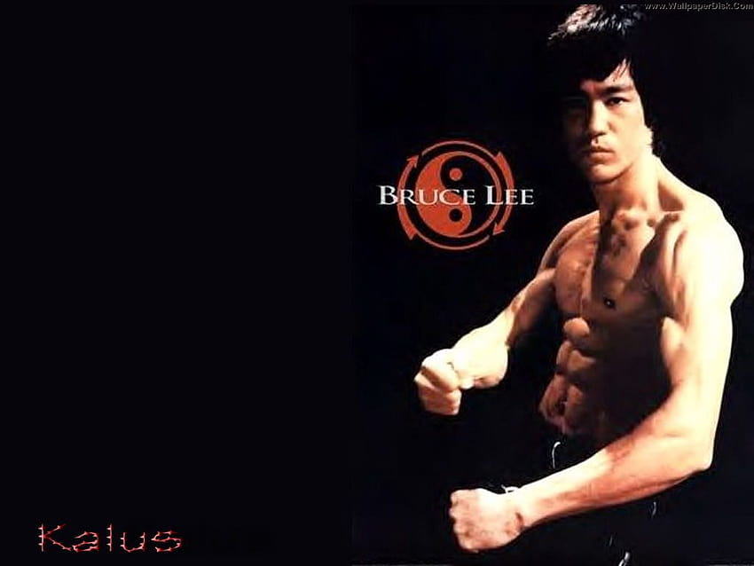 Bruce Lee Body Gallery HD wallpaper