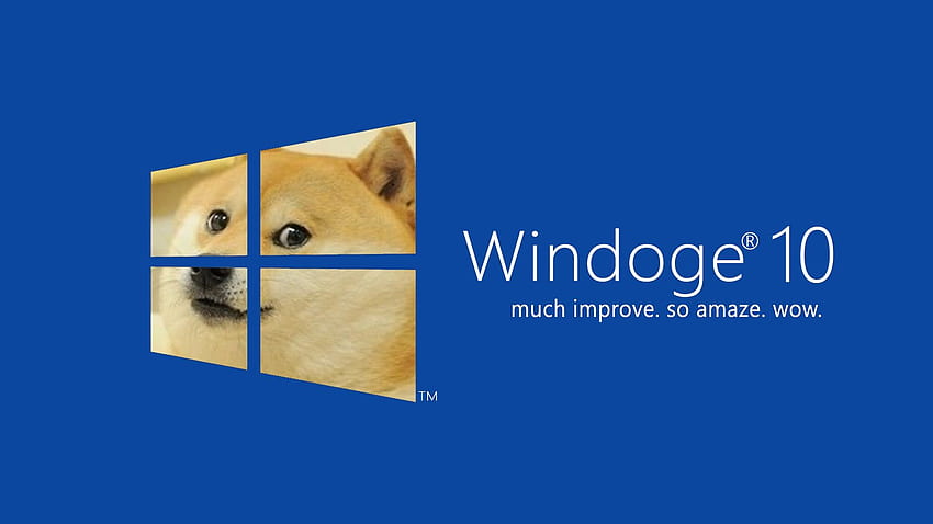 Windows 10 Meme, windoge 10 HD wallpaper