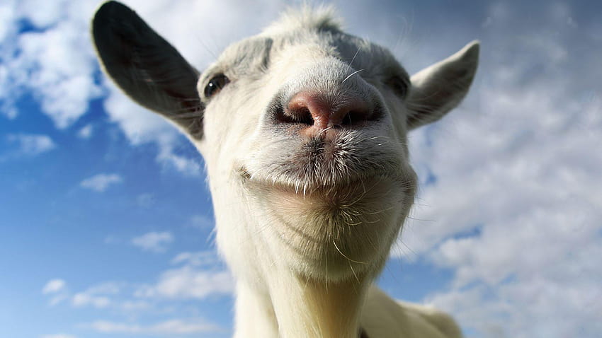 Goat Simulator now available on Microsoft Store for play on HD wallpaper