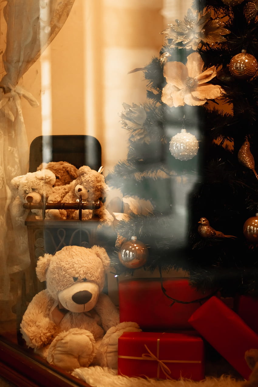 50 Best Teddy Bear [], sad teddy bear HD phone wallpaper | Pxfuel