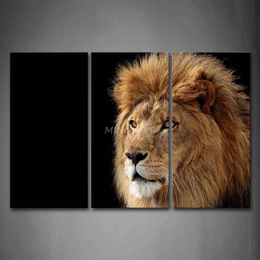 3 Piece Wall Art Painting Lion At Black Backgrounds Print On Canvas, lion on black background HD phone wallpaper