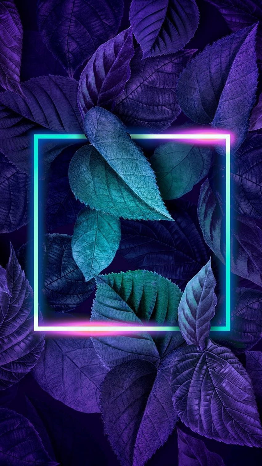 Purple leaves, neon leaves HD phone wallpaper