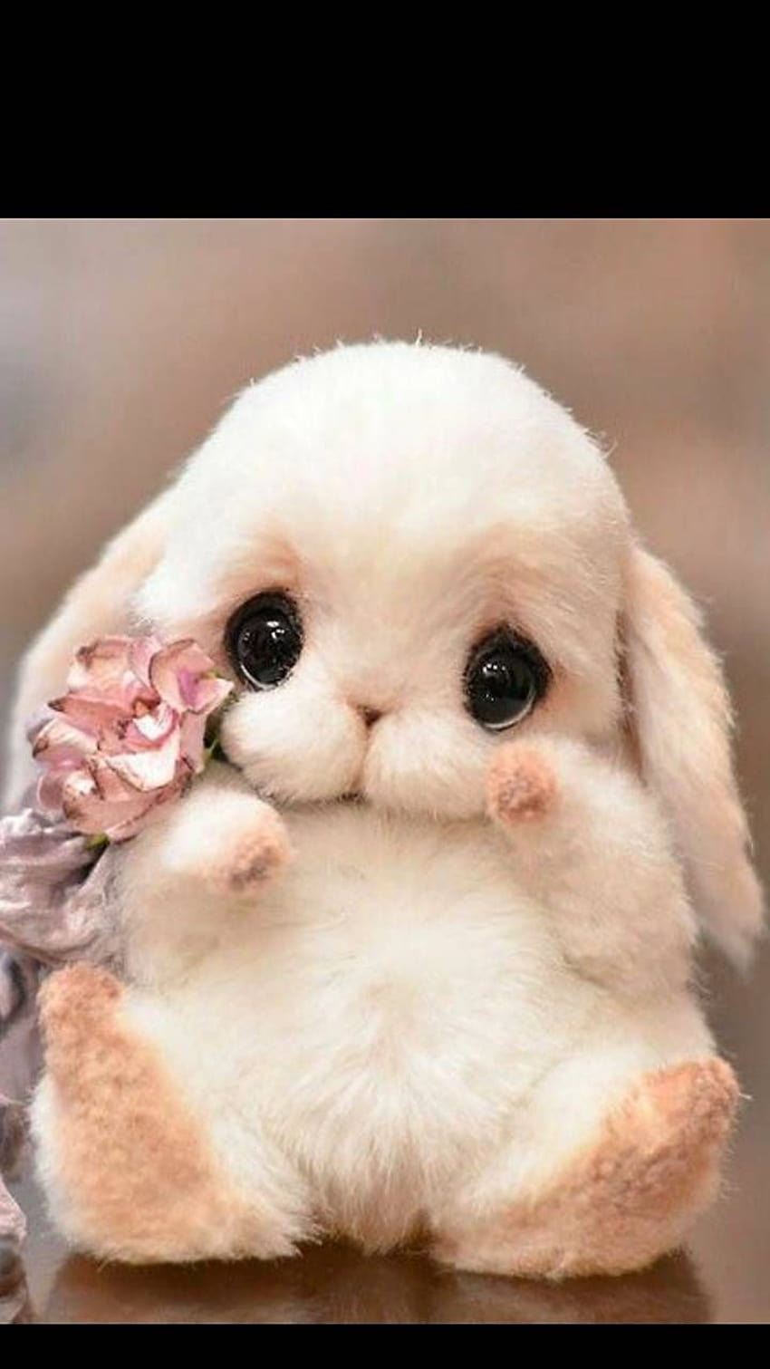 Cute by ghoserupa, baby bunny kawaii HD phone wallpaper | Pxfuel
