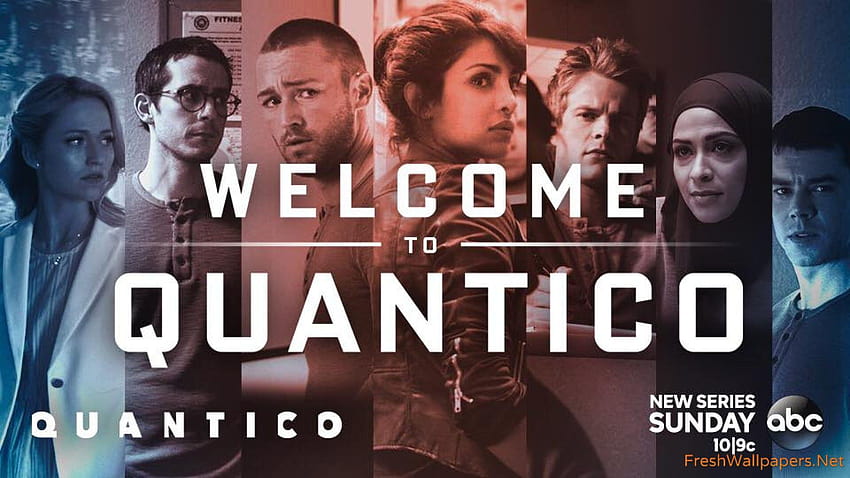 Priyanka Chopra's Quantico on ABC HD wallpaper