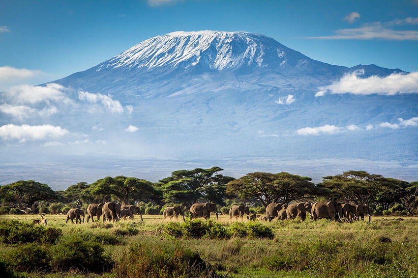 14 Mount Kilimanjaro HD wallpaper