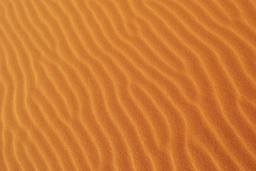 di Pixabay, musim gugur di padang pasir Wallpaper HD