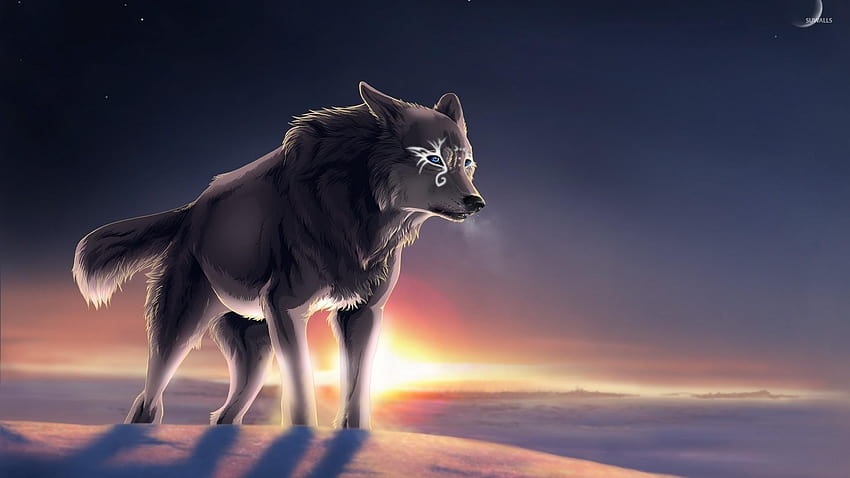 Magical wolf at sunset, wolf fantasy HD wallpaper