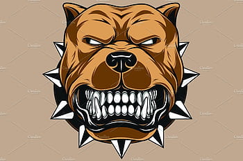 Vector illustration angry pitbull HD wallpapers | Pxfuel