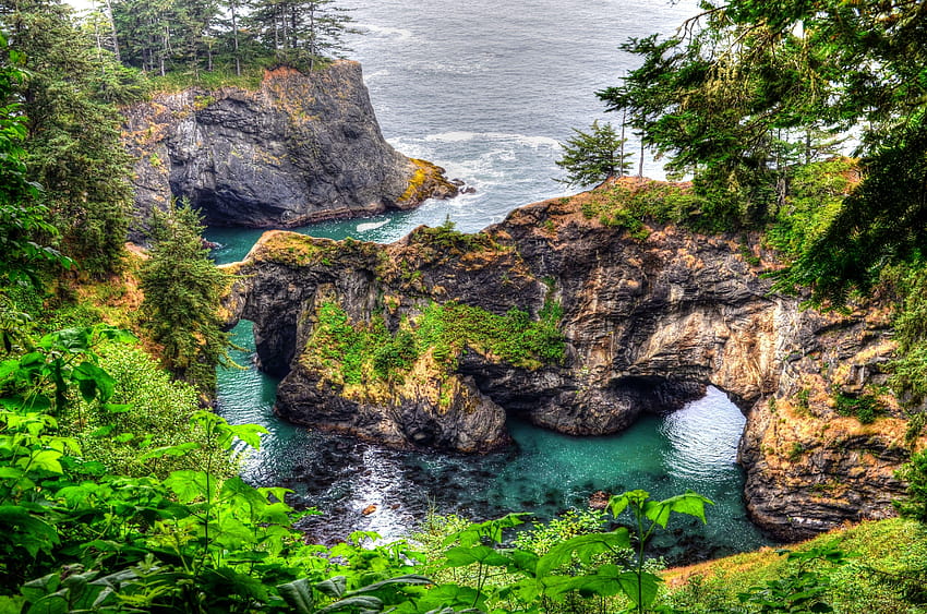 기타: Natural Bridge Oregon Coast Water Sea Arch Rocks Trees HD 월페이퍼