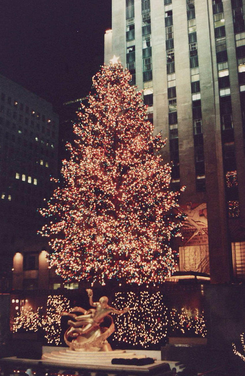 Christmas Filey Tree Jpg Wikimedia Commons Y_christmas_tree_2 Wiki, rockefeller christmas tree 2018 HD phone wallpaper