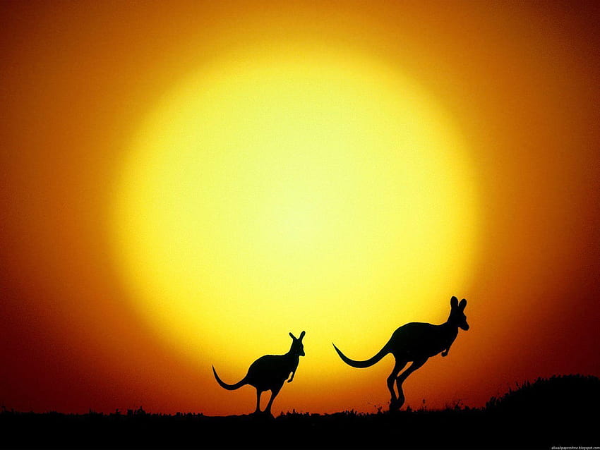 Amazing 43 of Australia, Top Australia, australia day HD wallpaper