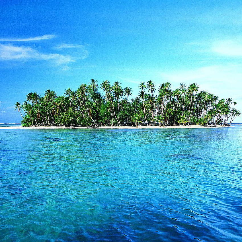 Pulau sepi dengan pasir putih dan pohon palem tropis hijau, latar belakang pulau wallpaper ponsel HD