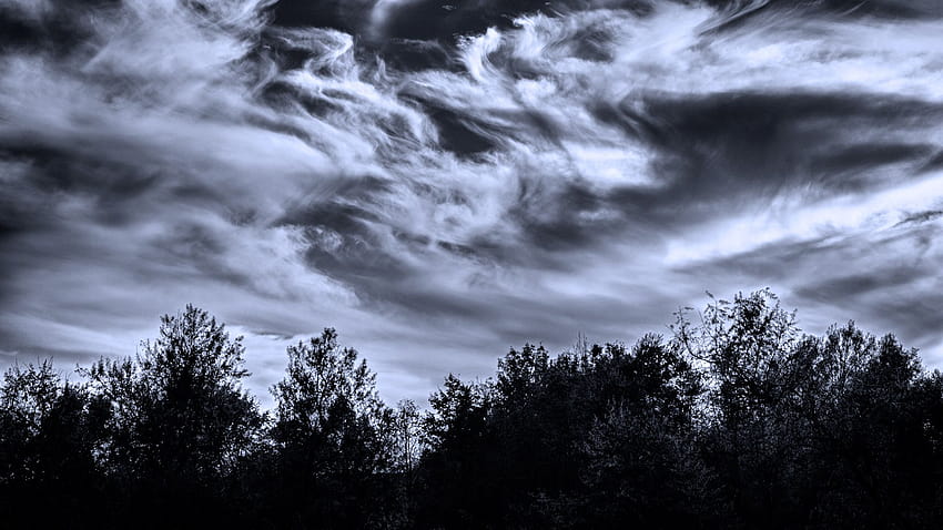Nature sky clouds light moon moonlight trees forest glow swirl, trees clouds sky HD wallpaper