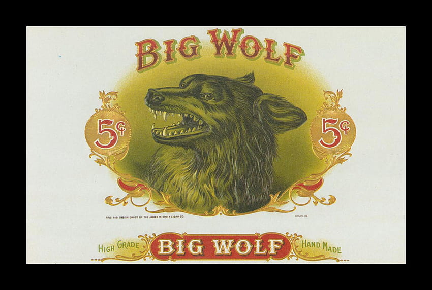 Big Wolf HD wallpaper