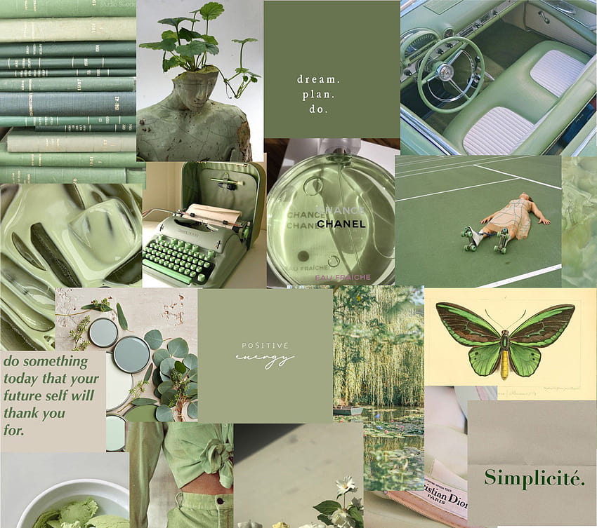 Flutterbye  Sage Green  Sage green wallpaper Butterfly wallpaper iphone  Green aesthetic