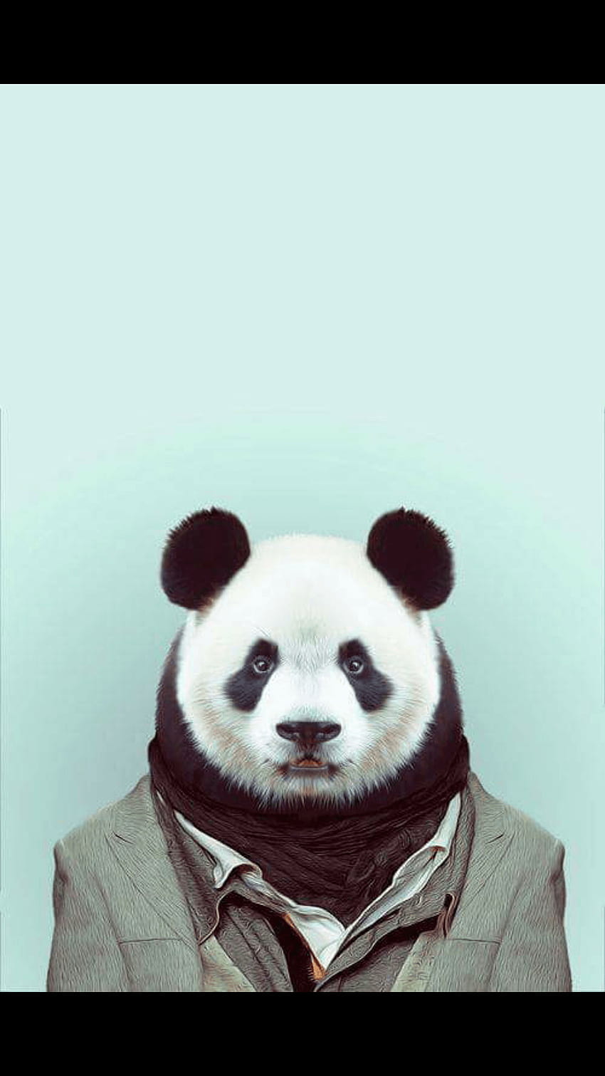 These are some of the iphone I am looking for..Cannot, i am panda HD phone wallpaper